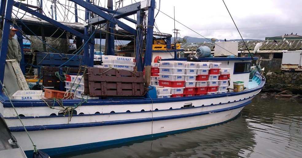 Polícia Ambiental apreende mais de 2,7 t de camarão ilegal e aplica R$ 216 mil em multas em Bertioga