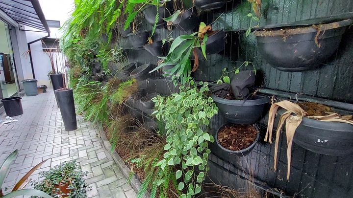 O projeto previa um sistema de irrigação automática, mas não há nenhum temporizador (dispositivo que controla a frequência da irrigação) instalado. A iluminação, com refletores embutidos, também só ficou no papel.