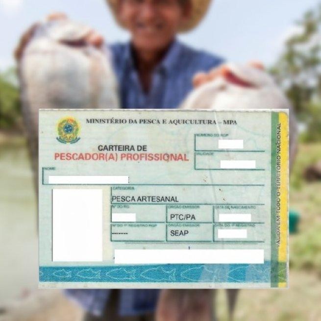 Foto: Reprodução/Prefeitura de São Sebastião - SP