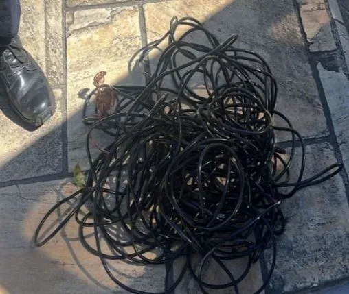 Crédito: Divulgação | PMSS