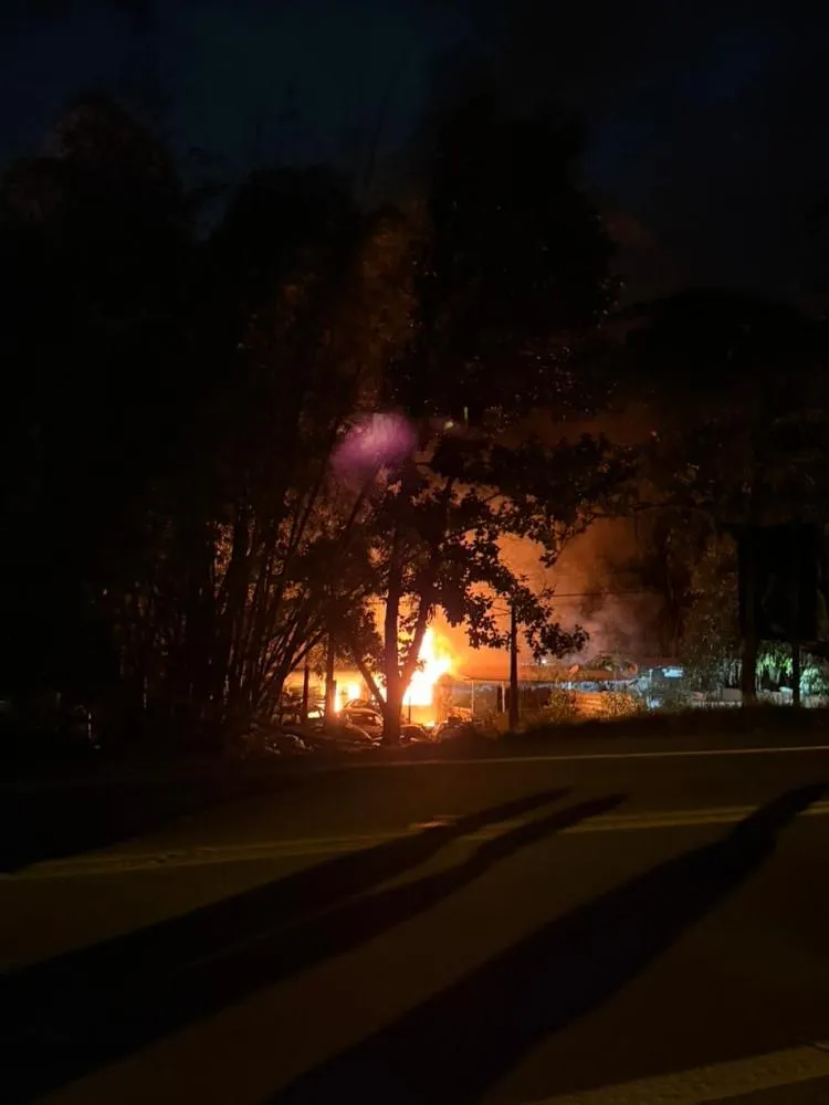Fumaça e correria marcaram o incêndio registrado às margens da Rio-Santos, em Juquehy, mobilizando moradores da região.