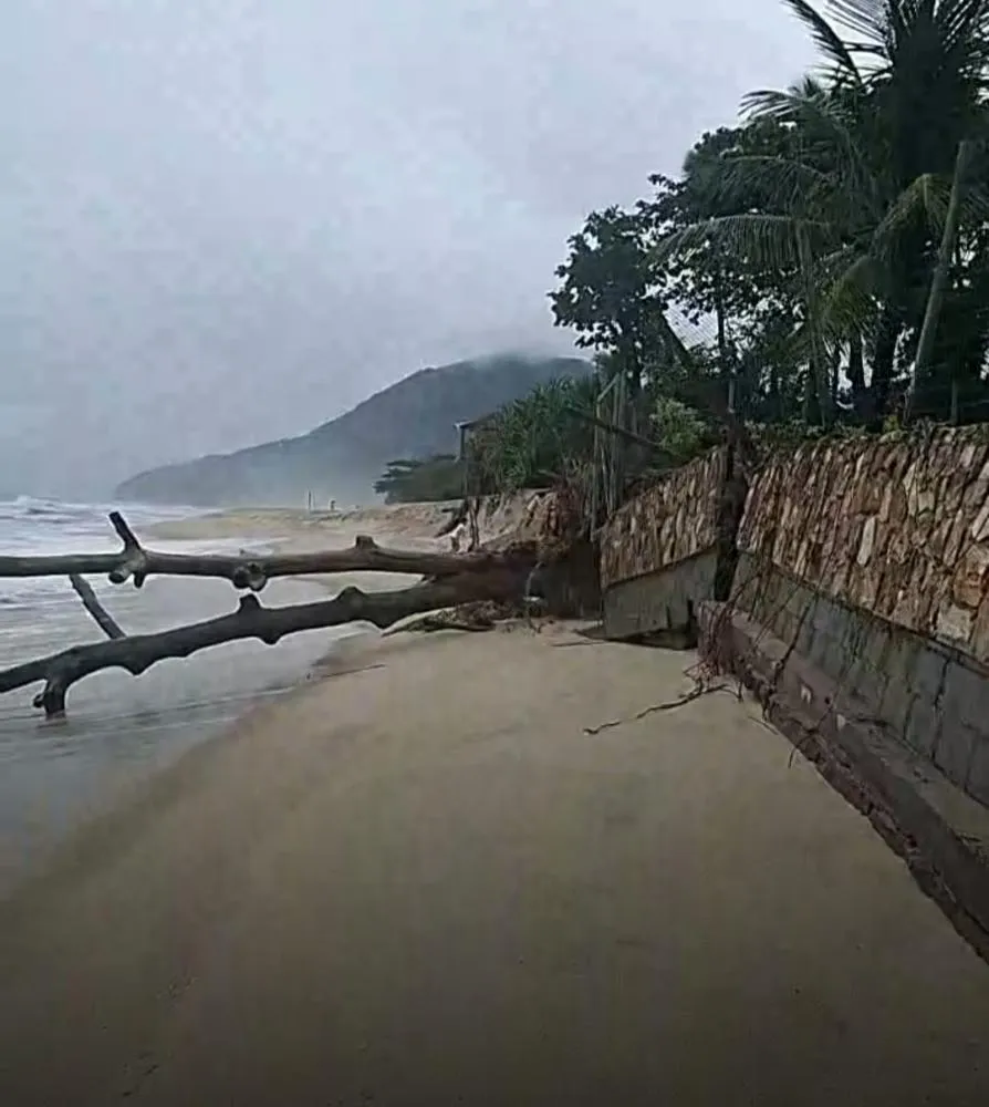 Forte ressaca em Maresias causou erosão, queda de árvores e danos em estrutura próxima à faixa de areia entre as entradas 08 e 09 da praia.