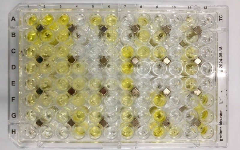Tecnologia alia precisão do PCR com possibilidade de analisar simultaneamente amostras - (Foto: Tássia Oliveira/Divulgação Agência Fapesp)