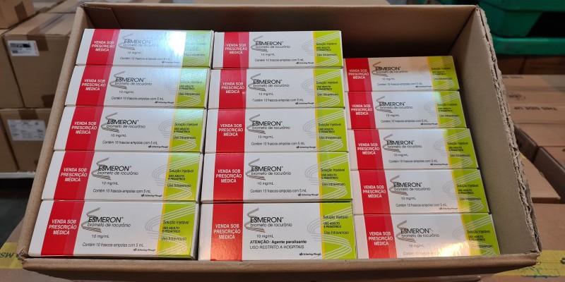 © Ingrid Vasconcelos/Agência Minas