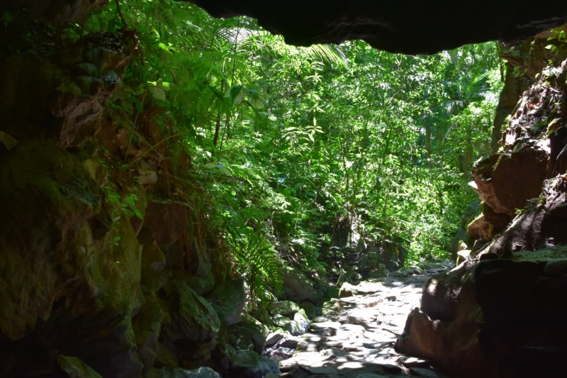 Foto: Reprodução/Secom Estado de São Paulo